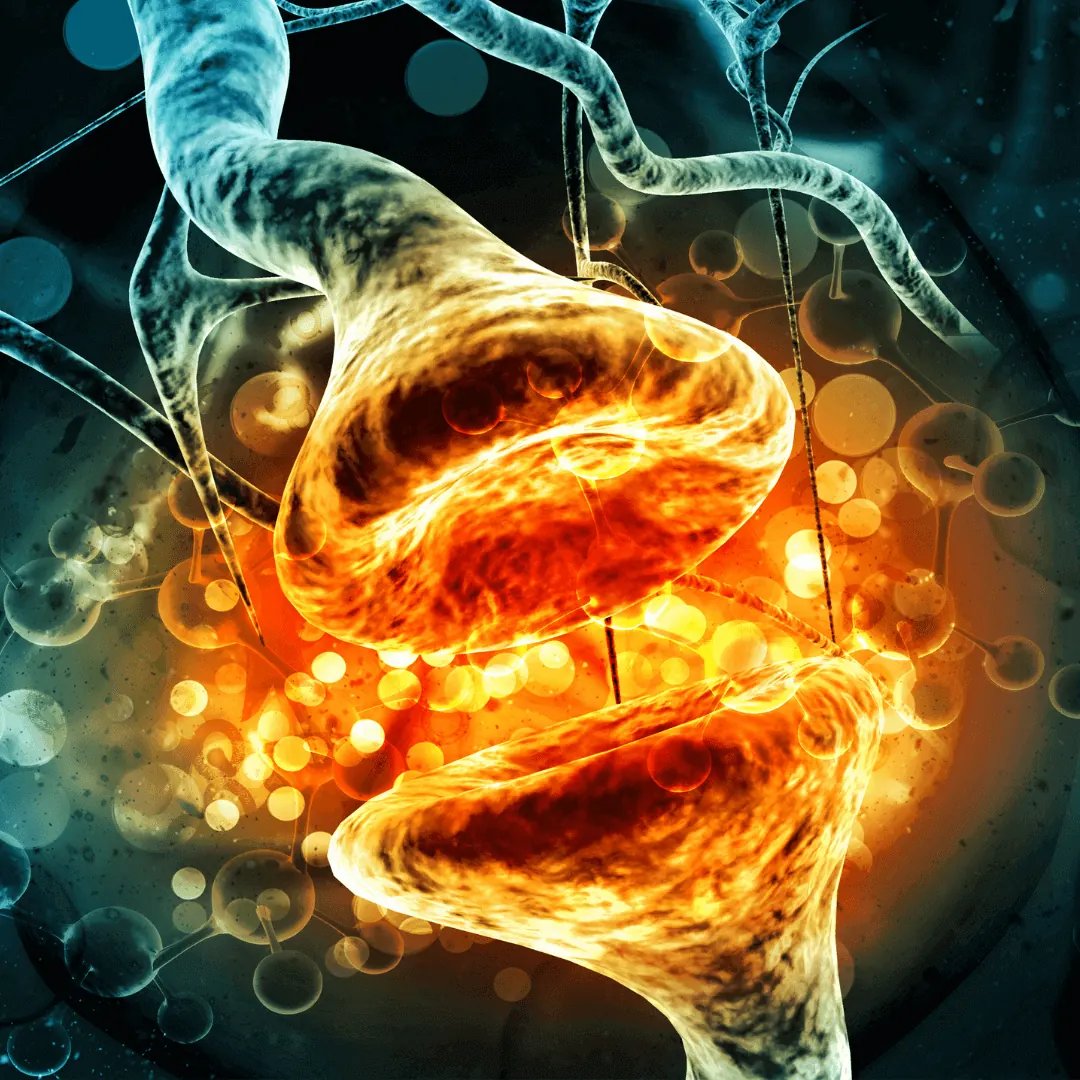 DHT Blocker bloqueia o hormônio DHT responsável pela queda de cabelo